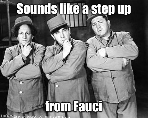 Three Stooges Thinking | Sounds like a step up from Fauci | image tagged in three stooges thinking | made w/ Imgflip meme maker