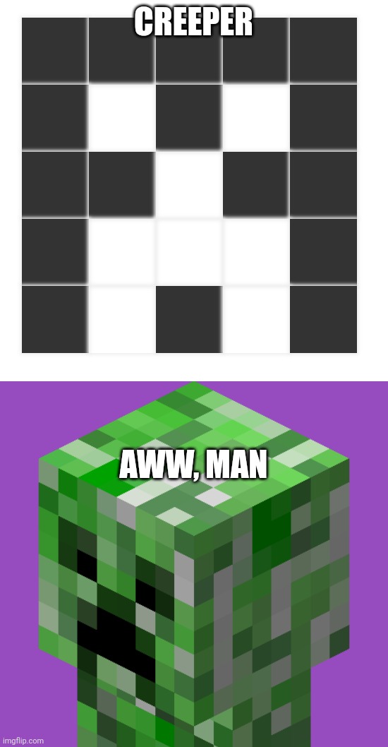 Look at this dude! (Creeper) | CREEPER; AWW, MAN | image tagged in imgflip creeper,minecraft creeper | made w/ Imgflip meme maker