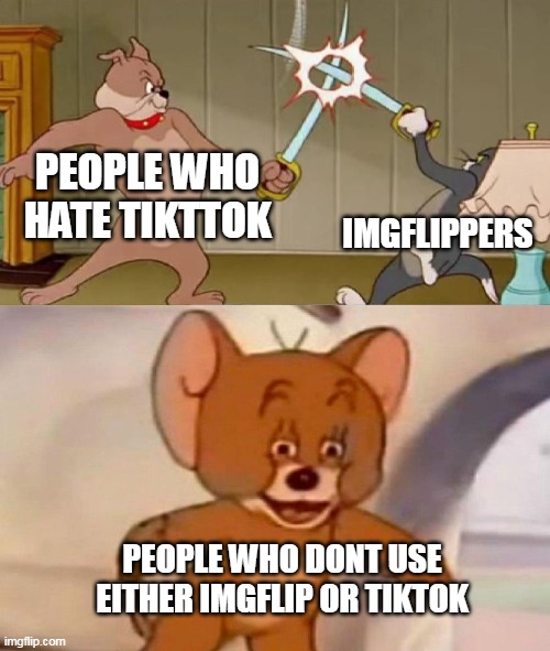[inserts a title] | PEOPLE WHO HATE TIKTTOK; IMGFLIPPERS; PEOPLE WHO DONT USE EITHER IMGFLIP OR TIKTOK | image tagged in tom and jerry swordfight | made w/ Imgflip meme maker