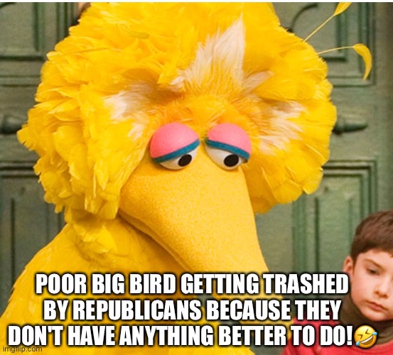 Big Bird got 'vaccinated' against COVID-19, drawing outrage from Republicans | POOR BIG BIRD GETTING TRASHED BY REPUBLICANS BECAUSE THEY DON'T HAVE ANYTHING BETTER TO DO!🤣 | image tagged in big bird,republicans,covid vaccine,ted cruz,lmao,idiots | made w/ Imgflip meme maker