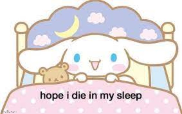 hope i die in my sleep | image tagged in hope i die in my sleep | made w/ Imgflip meme maker