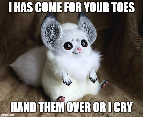 Cute aggressive animal | I HAS COME FOR YOUR TOES; HAND THEM OVER OR I CRY | image tagged in cute,funny,threat | made w/ Imgflip meme maker