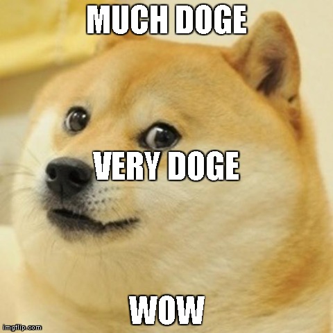 Doge Meme | MUCH DOGE WOW VERY DOGE | image tagged in memes,doge | made w/ Imgflip meme maker