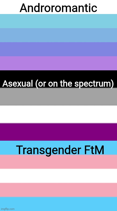 This is what i am now questioning, ill explain it in the comments | Androromantic; Asexual (or on the spectrum); Transgender FtM | image tagged in question,lgbtq | made w/ Imgflip meme maker