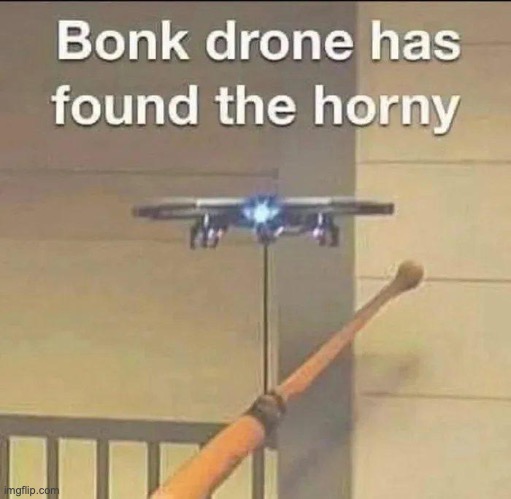 I found this template on Elfiya's homepage | image tagged in bonk drone | made w/ Imgflip meme maker