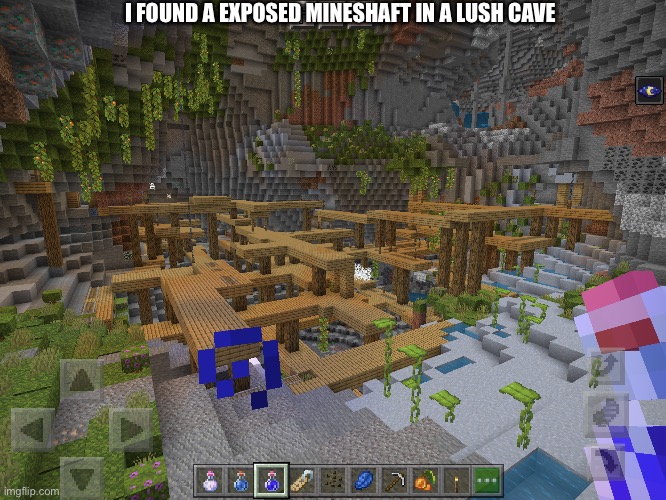 E | I FOUND A EXPOSED MINESHAFT IN A LUSH CAVE | made w/ Imgflip meme maker