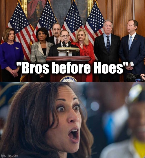 "Bros before Hoes" | image tagged in house democrats,kamala harriss | made w/ Imgflip meme maker