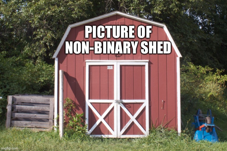 Shed | PICTURE OF NON-BINARY SHED | image tagged in shed | made w/ Imgflip meme maker