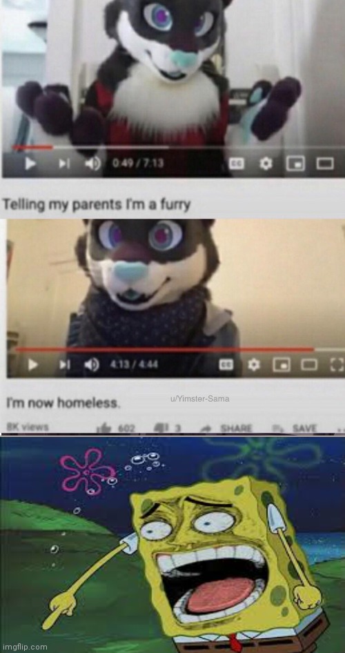 But how the parents didn't noticed the fursuit before? | image tagged in furry,spongebob,memes | made w/ Imgflip meme maker