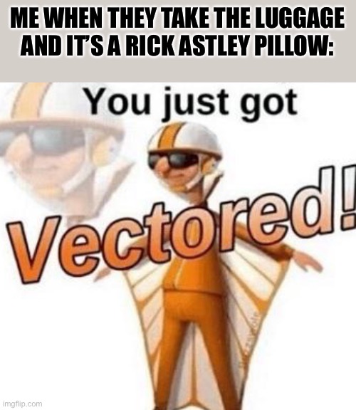 You just got vectored | ME WHEN THEY TAKE THE LUGGAGE AND IT’S A RICK ASTLEY PILLOW: | image tagged in you just got vectored | made w/ Imgflip meme maker