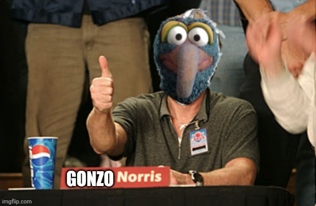 Gonzo Norris thumbs up. | image tagged in gonzo norris thumbs up | made w/ Imgflip meme maker