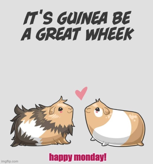 Wheek! Wheek! |  happy monday! | image tagged in guinea pig,cute,monday | made w/ Imgflip meme maker