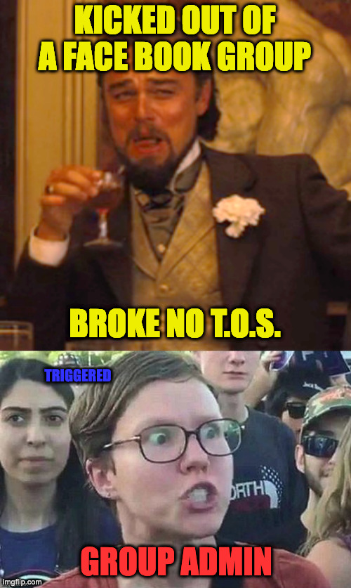 F. B. Drama | KICKED OUT OF A FACE BOOK GROUP; BROKE NO T.O.S. TRIGGERED; GROUP ADMIN | image tagged in memes,laughing leo,triggered snowflake | made w/ Imgflip meme maker