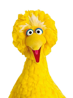 High Quality Big Bird Blank Meme Template