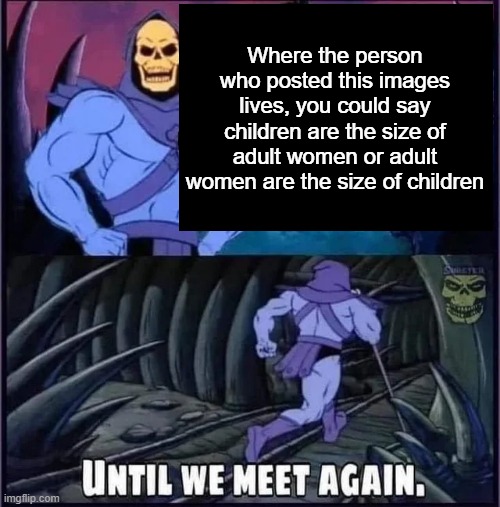 Until we meet again. | Where the person who posted this images lives, you could say children are the size of adult women or adult women are the size of children | image tagged in until we meet again | made w/ Imgflip meme maker