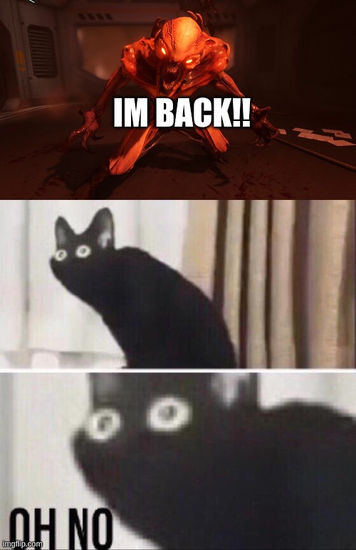 IM BACK!! | image tagged in oh no cat | made w/ Imgflip meme maker