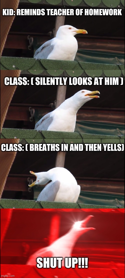 school be like | KID: REMINDS TEACHER OF HOMEWORK; CLASS: ( SILENTLY LOOKS AT HIM ); CLASS: ( BREATHS IN AND THEN YELLS); SHUT UP!!! | image tagged in memes,inhaling seagull | made w/ Imgflip meme maker