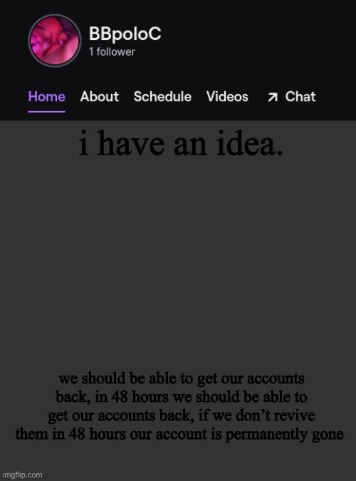 like at least 2 days or something, what if something happened and they do it on accident? | i have an idea. we should be able to get our accounts back, in 48 hours we should be able to get our accounts back, if we don’t revive them in 48 hours our account is permanently gone | image tagged in twitch template | made w/ Imgflip meme maker