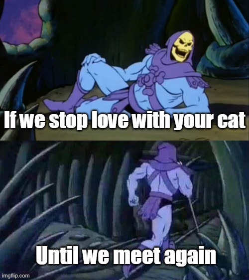 I love cats | If we stop love with your cat; Until we meet again | image tagged in skeletor disturbing facts,memes | made w/ Imgflip meme maker