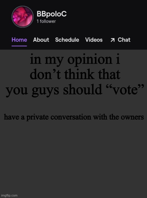 Twitch template | in my opinion i don’t think that you guys should “vote”; have a private conversation with the owners | image tagged in twitch template | made w/ Imgflip meme maker
