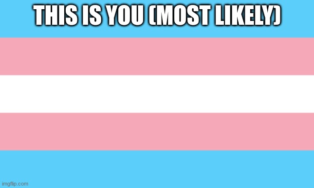 Trans Flag | THIS IS YOU (MOST LIKELY) | image tagged in trans flag | made w/ Imgflip meme maker