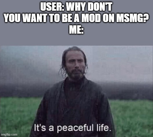 I don't have to approve images 24/7 and deal with other things so :) | USER: WHY DON'T YOU WANT TO BE A MOD ON MSMG?
ME: | image tagged in it s a peaceful life | made w/ Imgflip meme maker