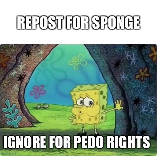 Tired Spongebob | REPOST FOR SPONGE; IGNORE FOR PEDO RIGHTS | image tagged in tired spongebob | made w/ Imgflip meme maker