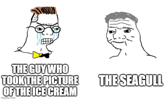 noooo you can't just | THE GUY WHO TOOK THE PICTURE OF THE ICE CREAM THE SEAGULL | image tagged in noooo you can't just | made w/ Imgflip meme maker