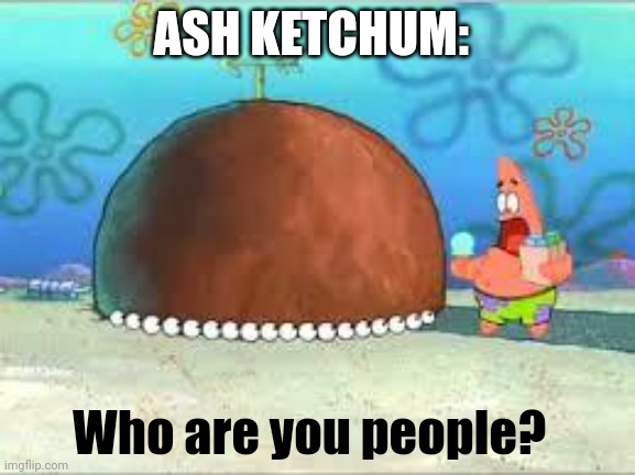 WHO ARE YOU PEOPLE? | ASH KETCHUM: Who are you people? | image tagged in who are you people | made w/ Imgflip meme maker