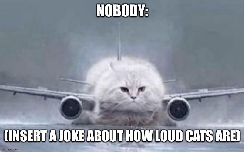 How to use my template | NOBODY:; (INSERT A JOKE ABOUT HOW LOUD CATS ARE) | image tagged in airplane cat,catplane | made w/ Imgflip meme maker