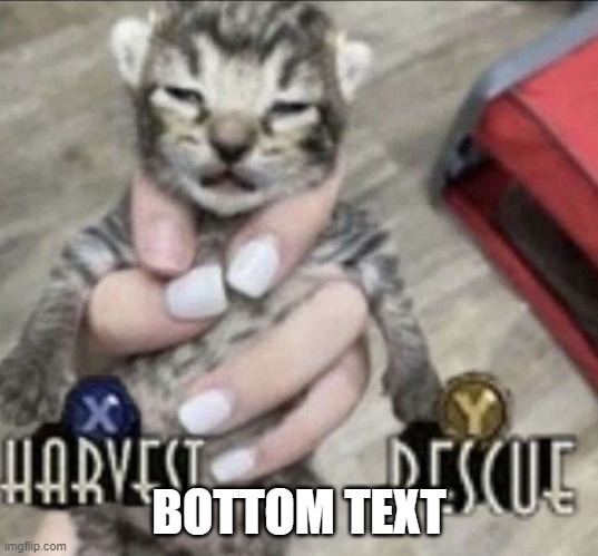 damn this hits | BOTTOM TEXT | image tagged in cat | made w/ Imgflip meme maker