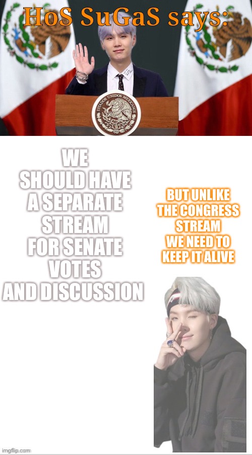 Sugas HOS temp | WE SHOULD HAVE A SEPARATE STREAM FOR SENATE VOTES AND DISCUSSION; BUT UNLIKE THE CONGRESS STREAM WE NEED TO KEEP IT ALIVE | image tagged in sugas hos temp | made w/ Imgflip meme maker