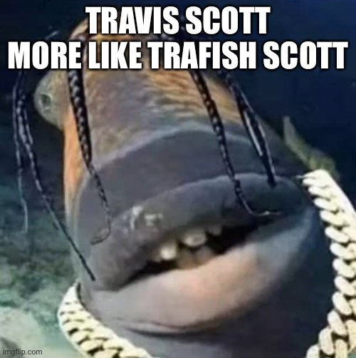 TRAVIS SCOTT
MORE LIKE TRAFISH SCOTT | image tagged in trafish scott | made w/ Imgflip meme maker