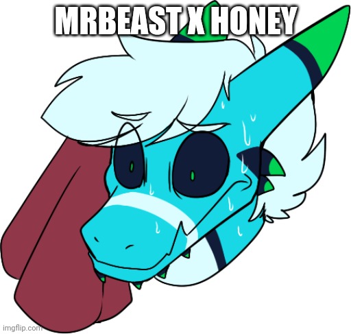 Retro sweating | MRBEAST X HONEY | image tagged in retro sweating | made w/ Imgflip meme maker