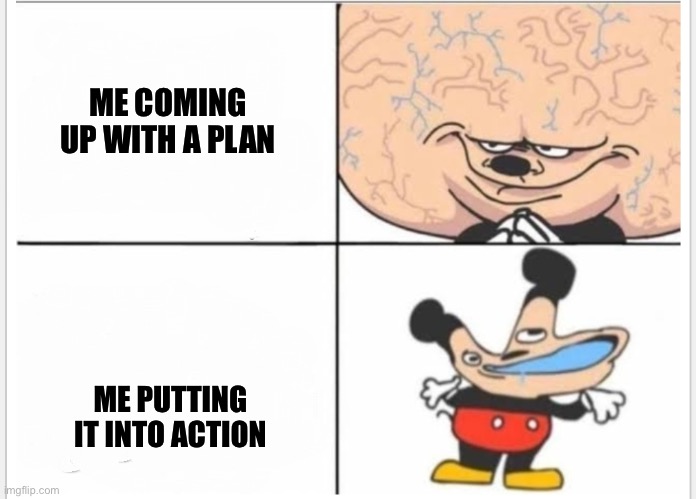 Mickey mouse brain | ME COMING UP WITH A PLAN; ME PUTTING IT INTO ACTION | image tagged in mickey mouse brain | made w/ Imgflip meme maker