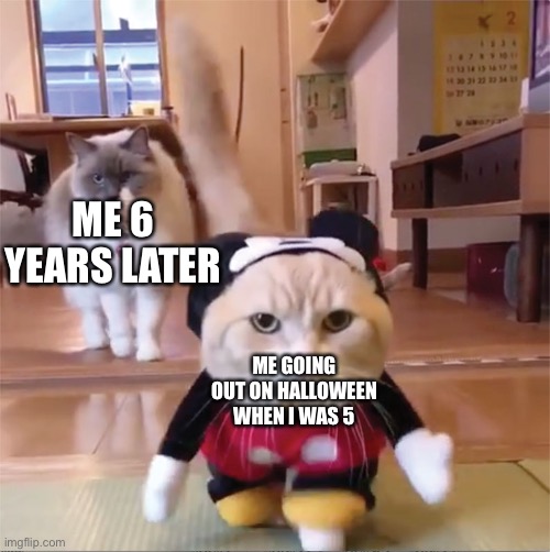 mickey mouse cat house | ME 6 YEARS LATER; ME GOING OUT ON HALLOWEEN WHEN I WAS 5 | image tagged in mickey mouse cat house | made w/ Imgflip meme maker