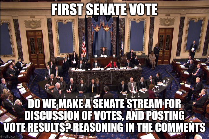 Senate floor | FIRST SENATE VOTE; DO WE MAKE A SENATE STREAM FOR DISCUSSION OF VOTES, AND POSTING VOTE RESULTS? REASONING IN THE COMMENTS | image tagged in senate floor | made w/ Imgflip meme maker