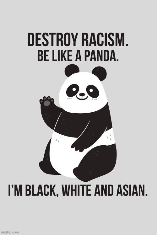 Amen! | image tagged in panda,memes,no racism,cute,quotes | made w/ Imgflip meme maker