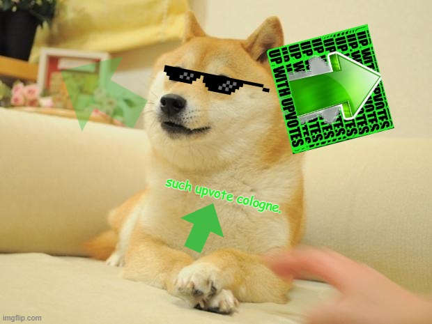 is there a real? yes there is this is real | such upvote cologne. | image tagged in memes,doge 2 | made w/ Imgflip meme maker