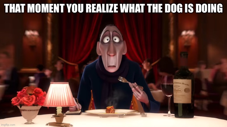 What the dog doin | THAT MOMENT YOU REALIZE WHAT THE DOG IS DOING | image tagged in funny | made w/ Imgflip meme maker