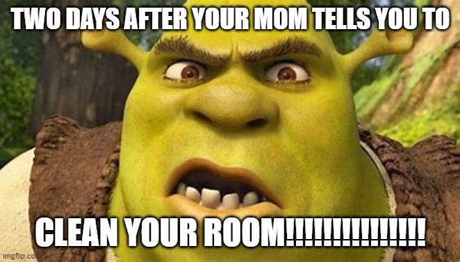 Shrek be like | TWO DAYS AFTER YOUR MOM TELLS YOU TO; CLEAN YOUR ROOM!!!!!!!!!!!!!!! | image tagged in shrek | made w/ Imgflip meme maker