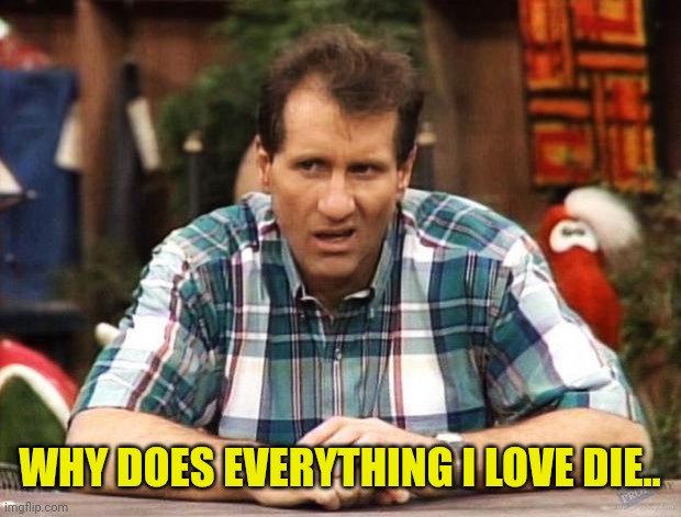 Al Bundy | WHY DOES EVERYTHING I LOVE DIE.. | image tagged in al bundy | made w/ Imgflip meme maker