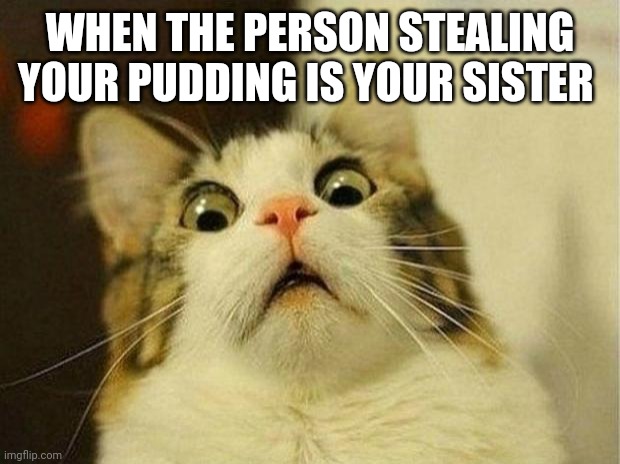The puding stealer | WHEN THE PERSON STEALING YOUR PUDDING IS YOUR SISTER | image tagged in memes,scared cat | made w/ Imgflip meme maker