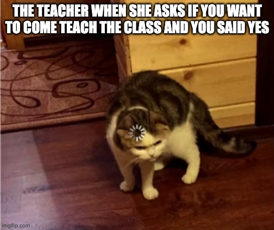 They always ask this | THE TEACHER WHEN SHE ASKS IF YOU WANT TO COME TEACH THE CLASS AND YOU SAID YES | image tagged in cats,memes,funny,funny memes,school | made w/ Imgflip meme maker