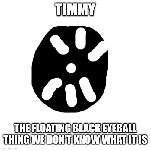 TIMMY THE FLOATING BLACK EYEBALL THING WE DON’T KNOW WHAT IT IS | made w/ Imgflip meme maker