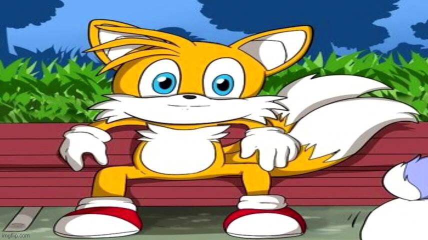 Tails on a bench, what could go wrong with it? | made w/ Imgflip meme maker