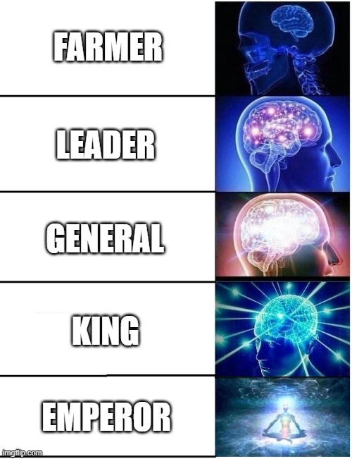 farming then rich | FARMER; LEADER; GENERAL; KING; EMPEROR | image tagged in expanding brain 5 panel | made w/ Imgflip meme maker