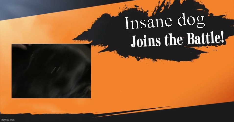 this one was made by me | Insane dog | made w/ Imgflip meme maker