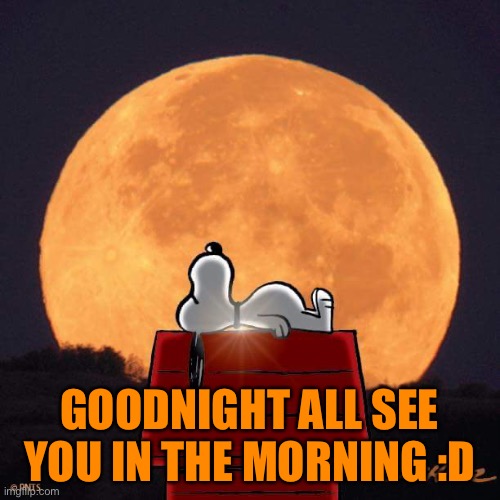 Goodnight :D | GOODNIGHT ALL SEE YOU IN THE MORNING :D | image tagged in goodnight | made w/ Imgflip meme maker