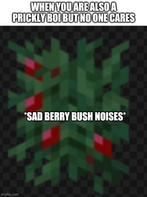 WHEN YOU ARE ALSO A PRICKLY BOI BUT NO ONE CARES *SAD BERRY BUSH NOISES* | made w/ Imgflip meme maker